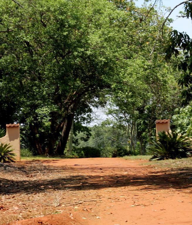 Boschoek Farm ツァニーン エクステリア 写真